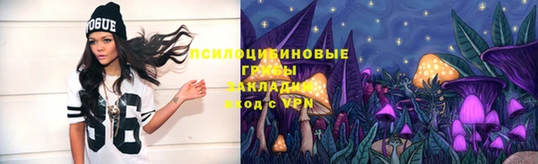 прущие грибы Нязепетровск