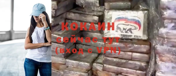 прущие грибы Нязепетровск
