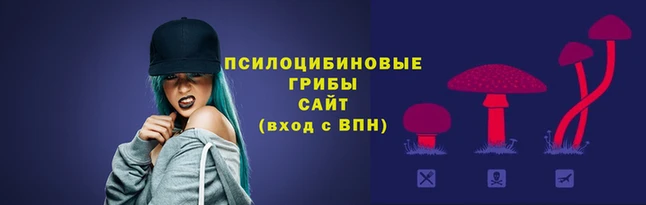 spice Армянск