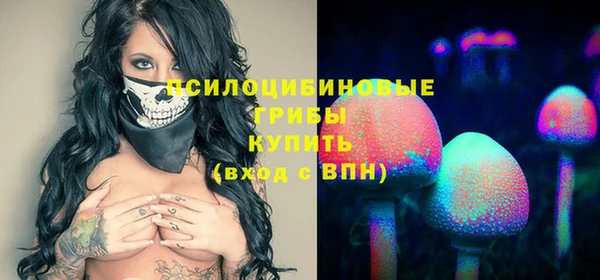 тгк Аркадак