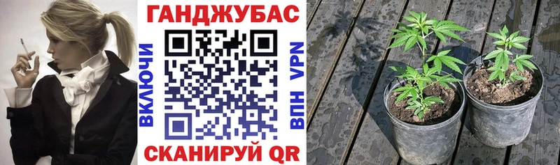 наркота  Усть-Джегута  Шишки марихуана LSD WEED 